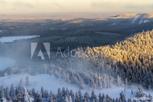 Picture of Beautiful winter view in the early morning Finland Ruka